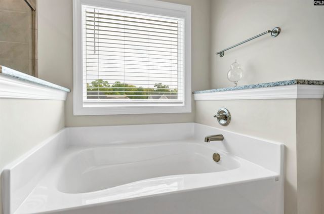 304 Springbrook Way, Chapin, SC 29036