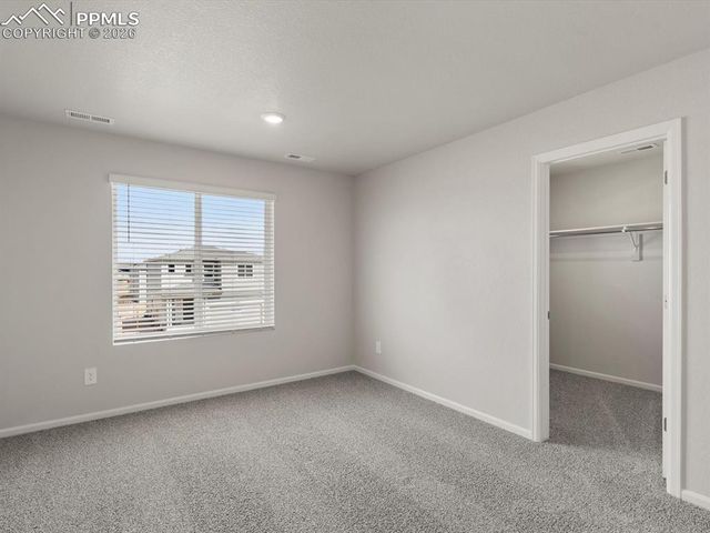 11363 Saugeye Street, Colorado Springs, CO 80925