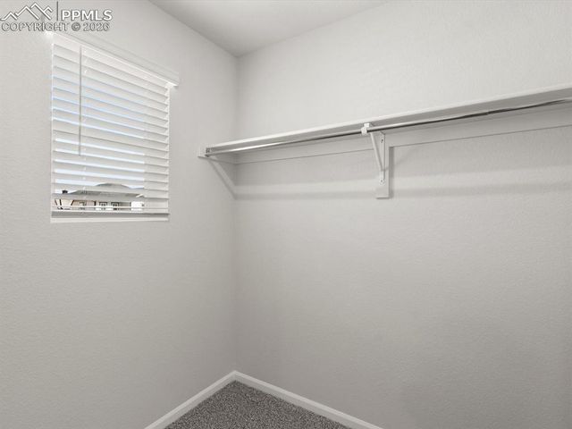 11363 Saugeye Street, Colorado Springs, CO 80925