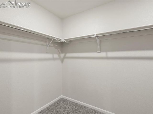 11363 Saugeye Street, Colorado Springs, CO 80925