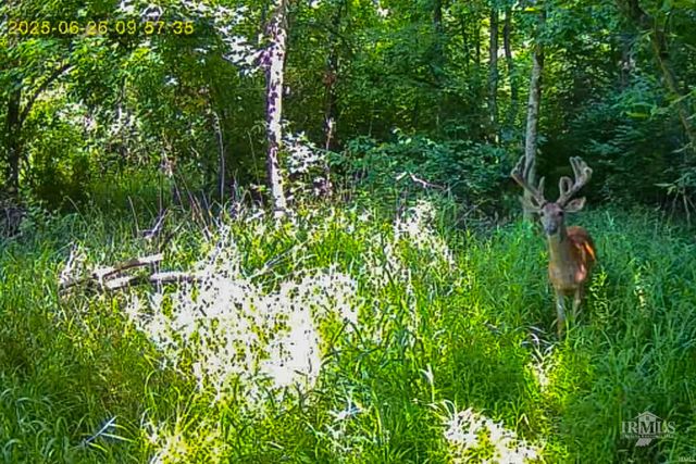 1510 S Walnut Street, Hartford City, IN 47348