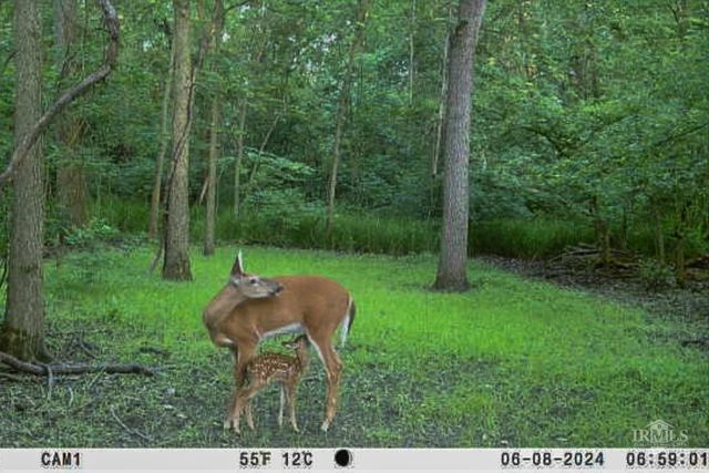 1510 S Walnut Street, Hartford City, IN 47348