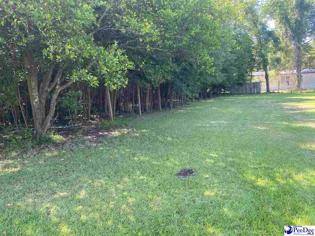 2663 Dove Trail Rd, Darlington, SC 29540