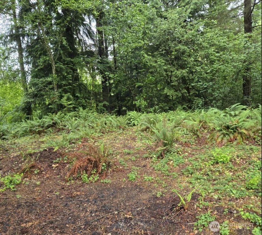 15600 SE 234th Street, Kent, WA 98042