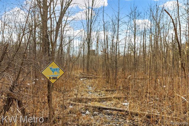 8665 Meskill Road, Columbus, MI 48063