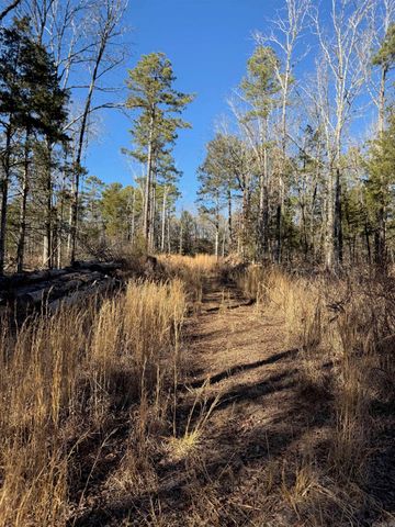 558 Pebble Drive, Clinton, AR 72031