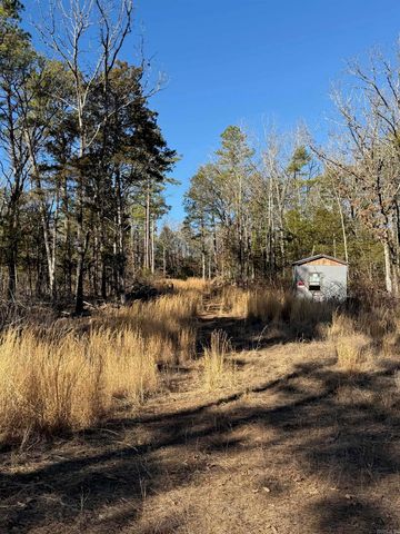 558 Pebble Drive, Clinton, AR 72031