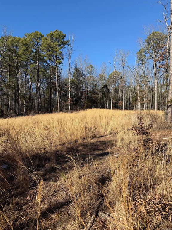 558 Pebble Drive, Clinton, AR 72031