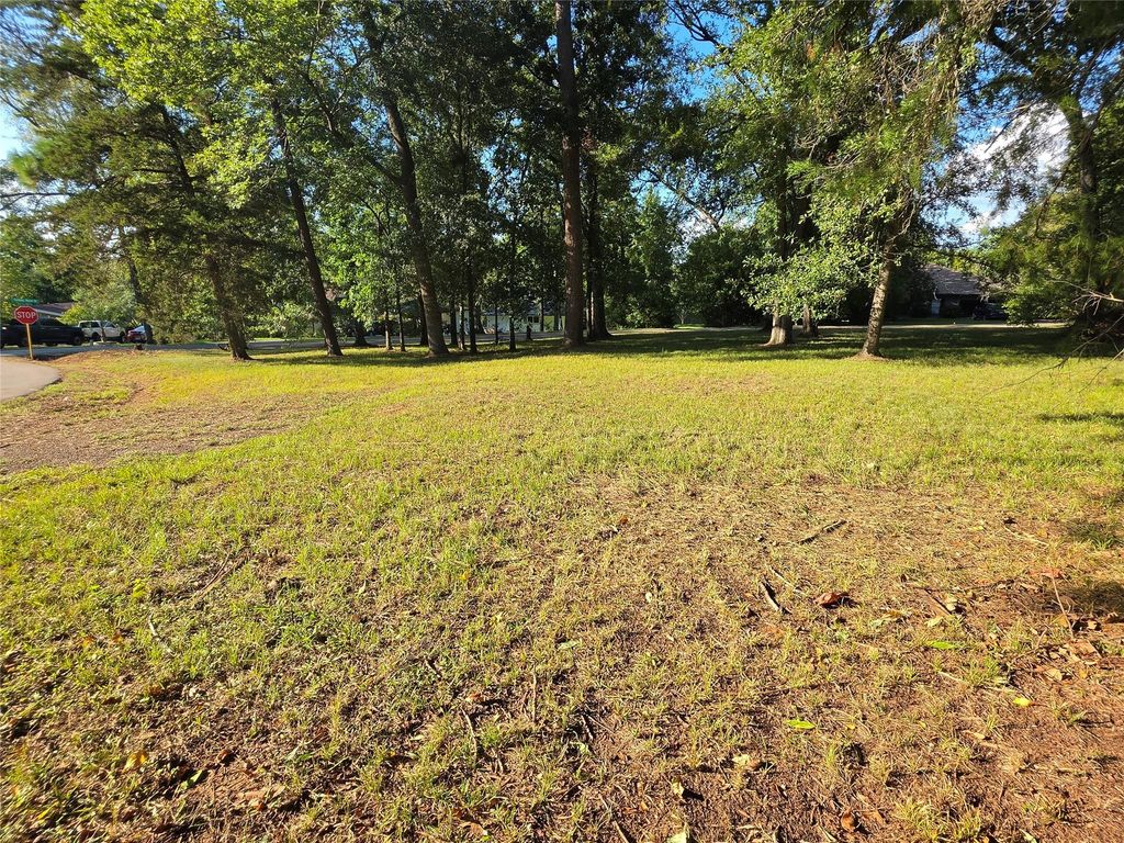 0 Lot 28 Lakeview Manor, Willis, TX 77318