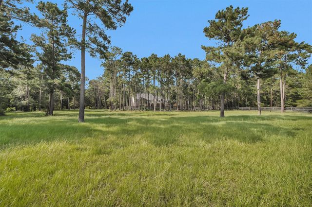 17709 W Terrace Oaks Drive, Waller, TX 77484