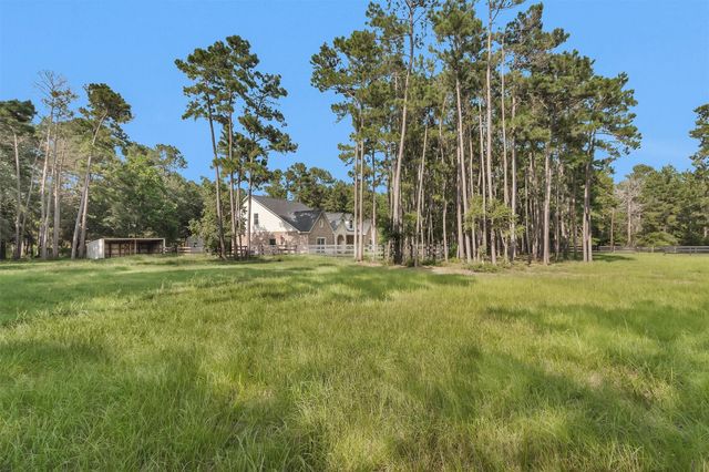 17709 W Terrace Oaks Drive, Waller, TX 77484