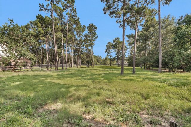 17709 W Terrace Oaks Drive, Waller, TX 77484