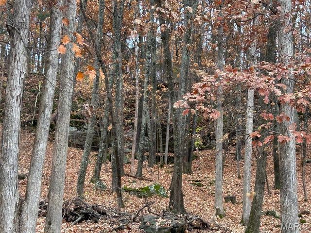 209 Epple Fricke Drive, Hermann, MO 65041