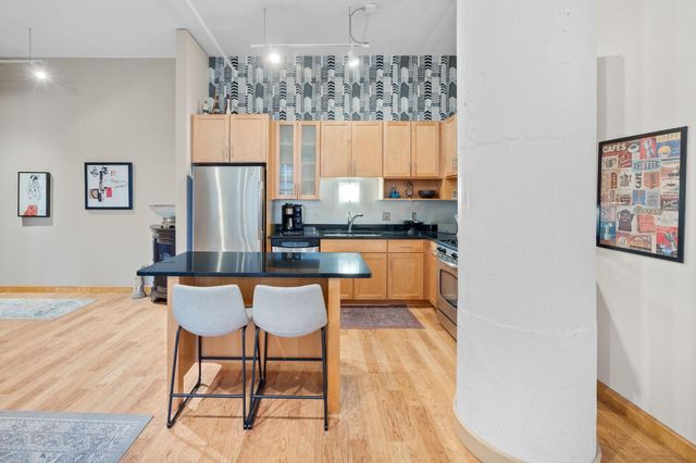 250 Park Avenue 502, Minneapolis, MN 55415