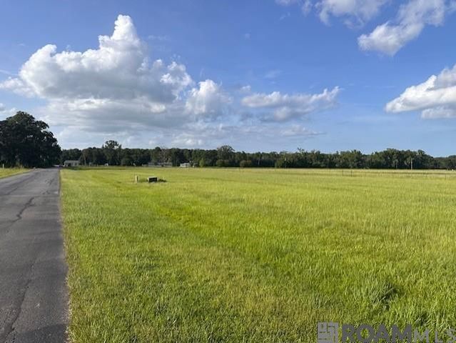 11036 Cessna St, Gonzales, LA 70737