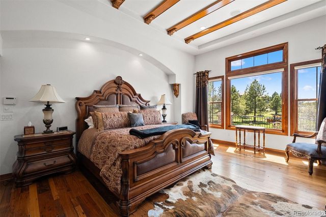 6198 Massive Peak Circle, Castle Rock, CO 80108