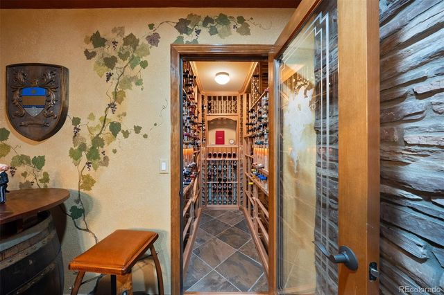 6198 Massive Peak Circle, Castle Rock, CO 80108