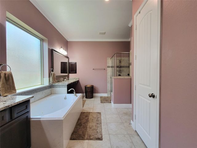 4239 Dalea Clover Lane, Manvel, TX 77578