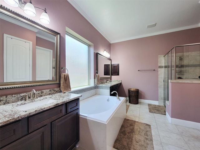 4239 Dalea Clover Lane, Manvel, TX 77578