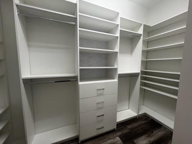 4239 Dalea Clover Lane, Manvel, TX 77578