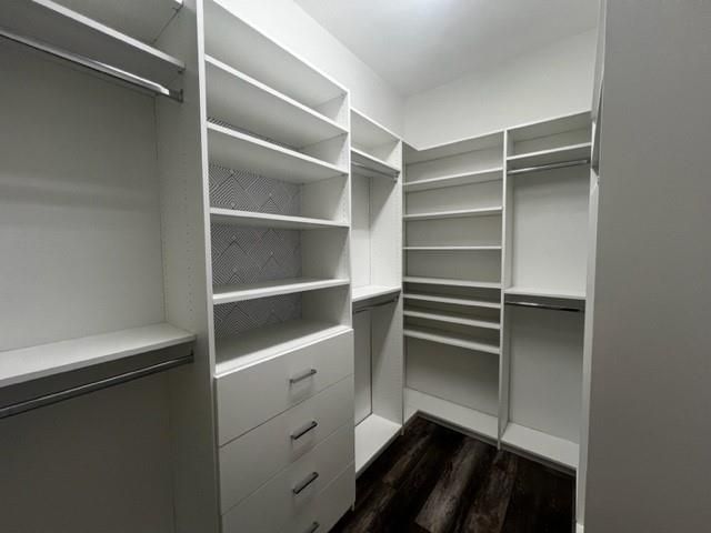 4239 Dalea Clover Lane, Manvel, TX 77578