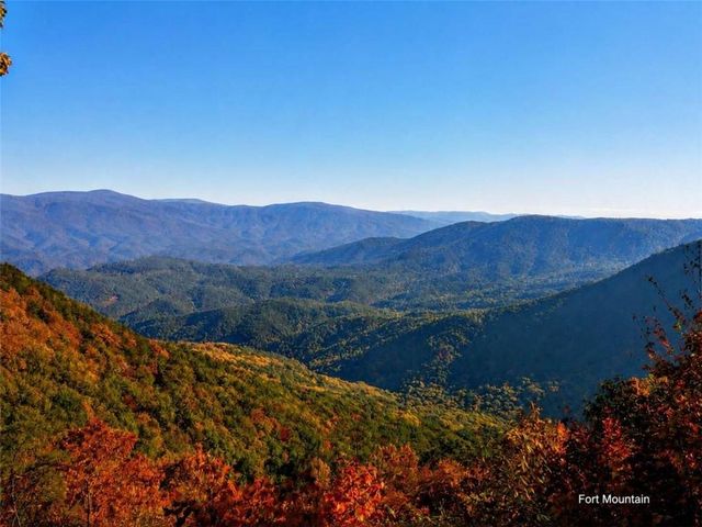 1503 Garnet Drive, Ellijay, GA 30540