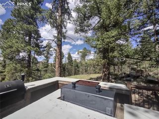 1176 Trail Creek Road, Lake George, CO 80827