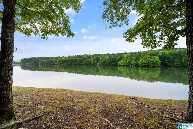 10 HICKORY FLATS LANE, Sterrett, AL 35147