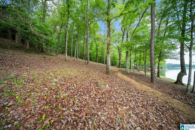10 HICKORY FLATS LANE, Sterrett, AL 35147