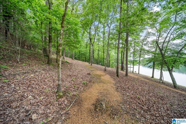 10 HICKORY FLATS LANE, Sterrett, AL 35147