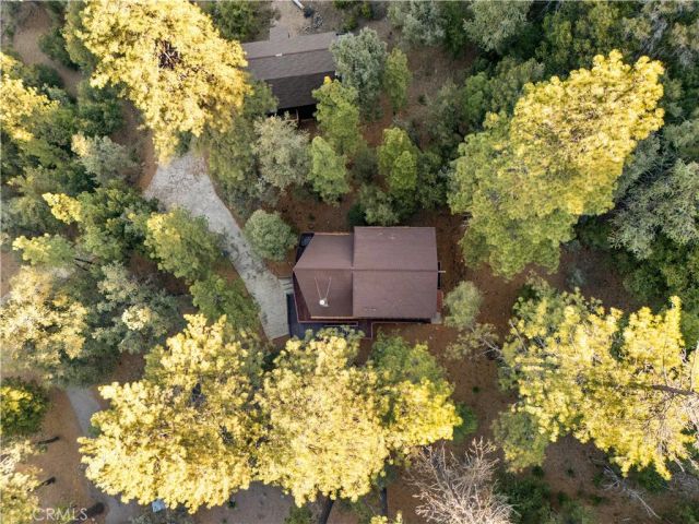 1420 Bernina Drive, Pine Mountain Club, CA 93222