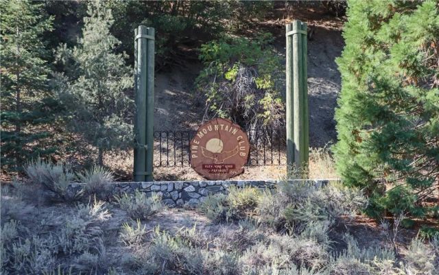 1420 Bernina Drive, Pine Mountain Club, CA 93222