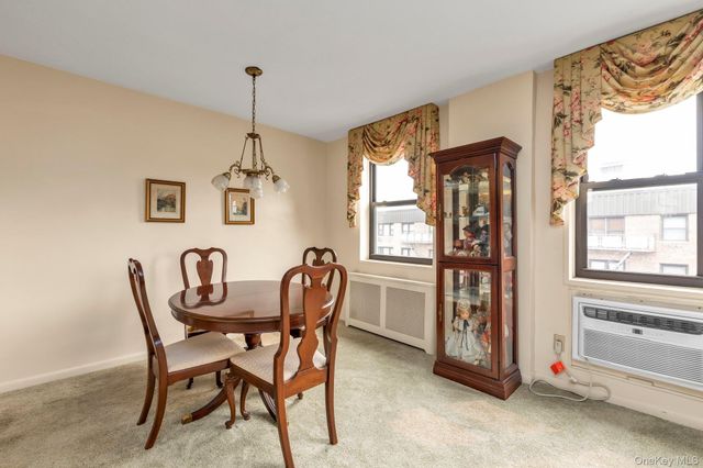 3 Birchwood Court 5G, Mineola, NY 11501