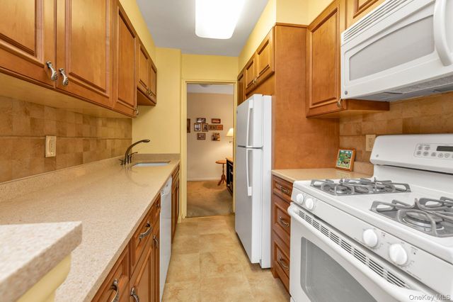 3 Birchwood Court 5G, Mineola, NY 11501