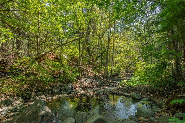 1371 Eagle Creek Loop Road, Trinity Center, CA 96091