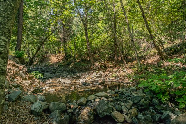 1371 Eagle Creek Loop Road, Trinity Center, CA 96091