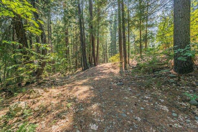 1371 Eagle Creek Loop Road, Trinity Center, CA 96091