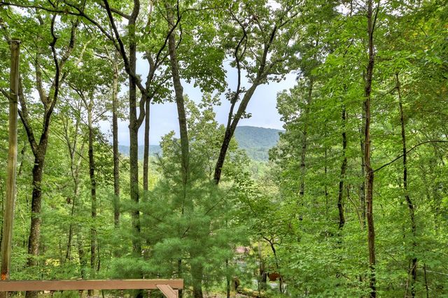 270 Walnut Mountain Road, Ellijay, GA 30540
