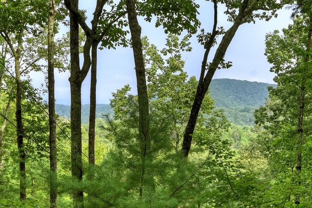 270 Walnut Mountain Road, Ellijay, GA 30540