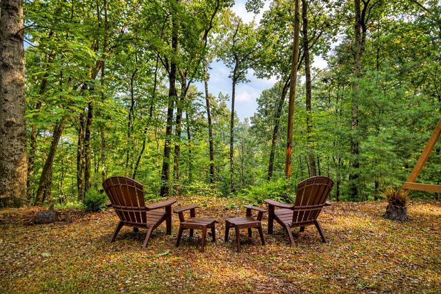 270 Walnut Mountain Road, Ellijay, GA 30540