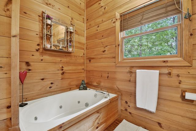 270 Walnut Mountain Road, Ellijay, GA 30540
