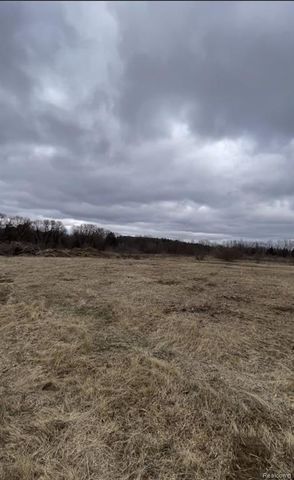 Parcel 3 S Creek Ln, Dryden, MI 48428