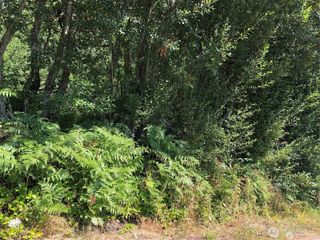 0 XXXX Hansville Drive W, Hansville, WA 98340