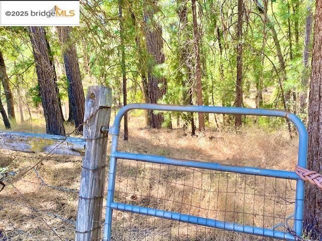 11350 Big Creek Shaft Rd, Groveland, CA 95321