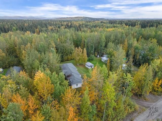 3591 MANDEVILLE LOOP, North Pole, AK 99705