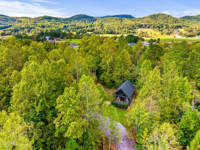 3870 Saddle Brook Way, Sevierville, TN 37862