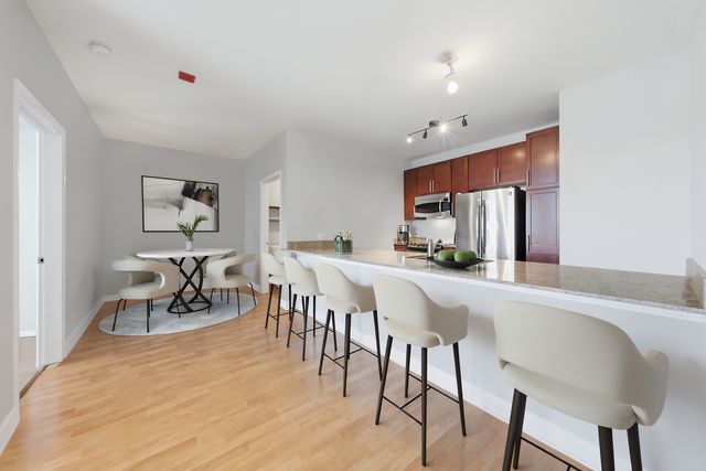100 E 14th Street 1403, Chicago, IL 60605
