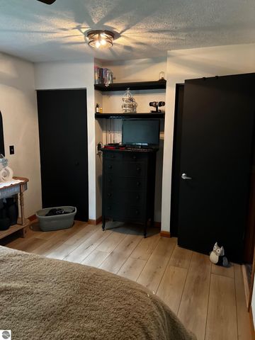 8224 S Schomberg Road, Cedar, MI 49621