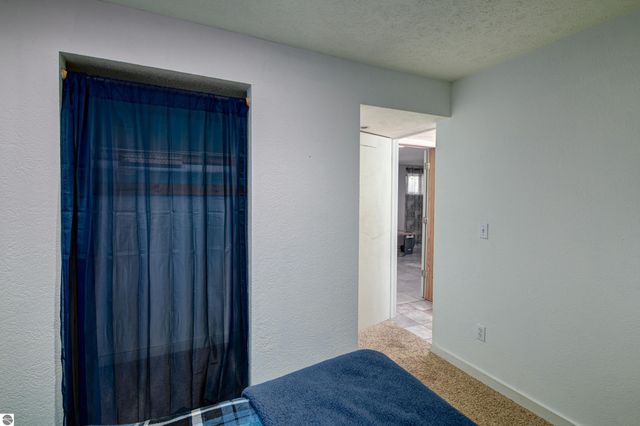 8224 S Schomberg Road, Cedar, MI 49621