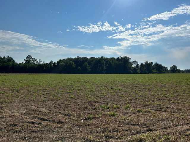 Lot 6, 7.2+-ac Willie Varnum Rd, Cottonwood, AL 36320